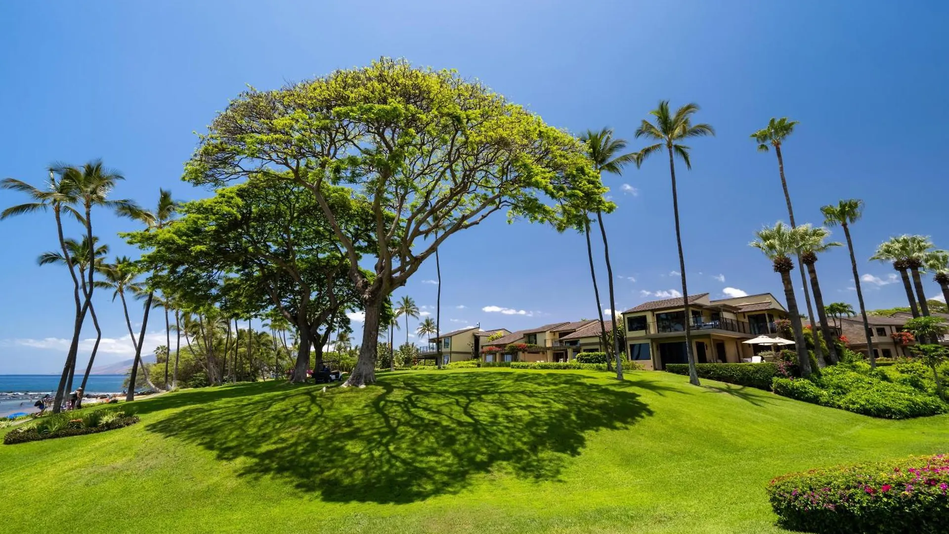 Elua 2011 Villa Wailea  United States